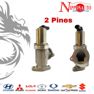 Válvula EGR para Hyundai Santa Fe
