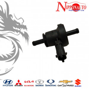 Válvula Purge para Hyundai Santa Fe 06-09 2.7L